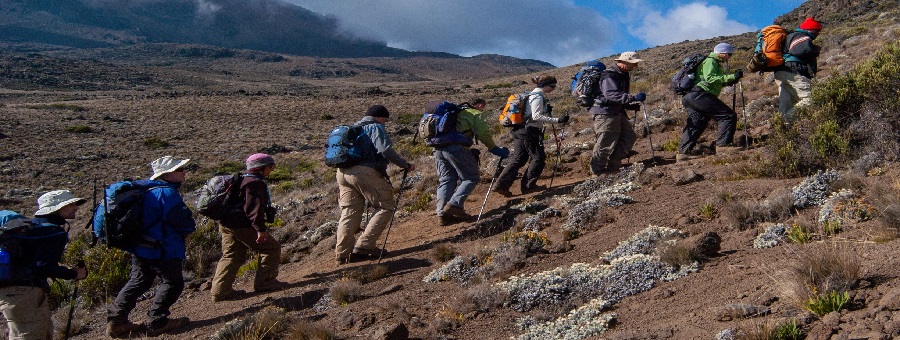 kilimanjaro-classic-group-joining-7-days